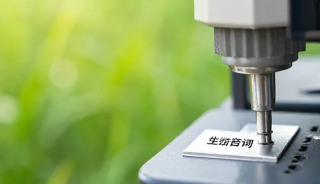 员工培训提示词使用中的常见问题及处理方向